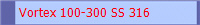 Vortex 100-300 SS 316